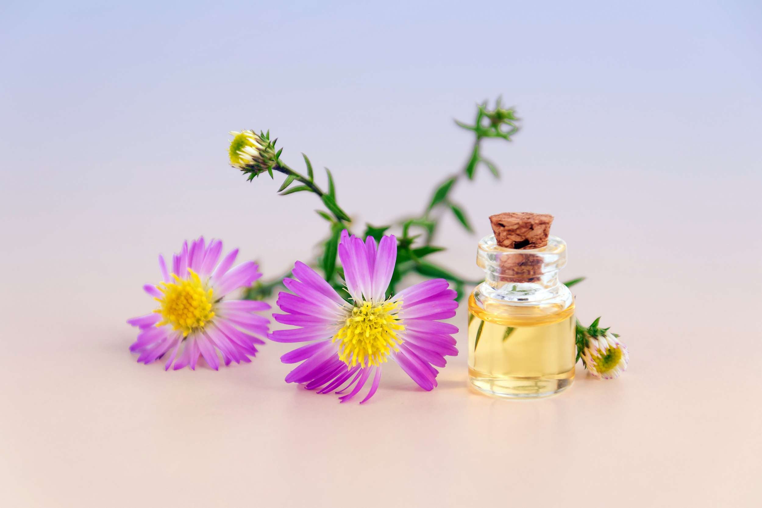 Oli essenziali usati per la tecnica dell'aromaterapia.